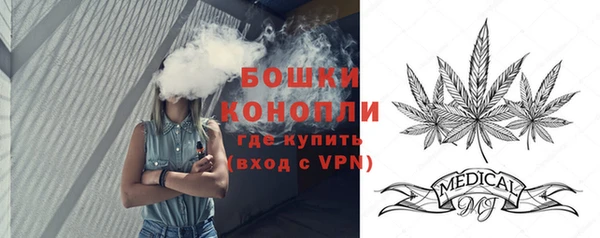 шишки Абаза