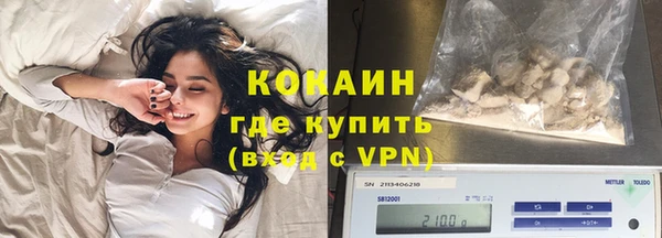 шишки Абаза