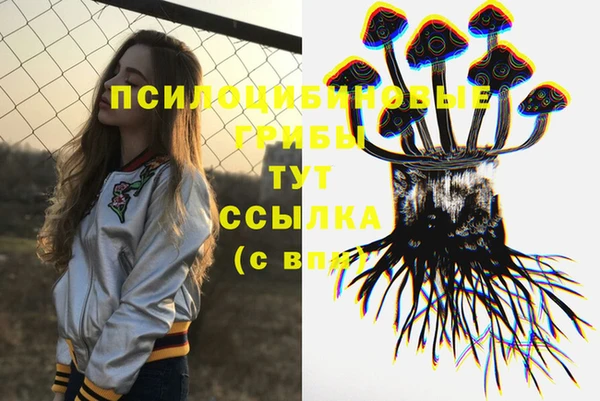 шишки Абаза
