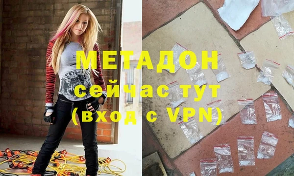 шишки Абаза