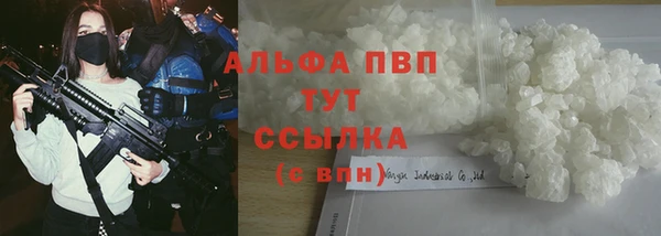 шишки Абаза