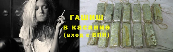 шишки Абаза