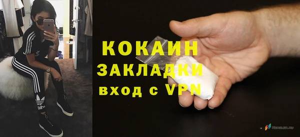 шишки Абаза