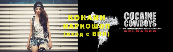 шишки Абаза