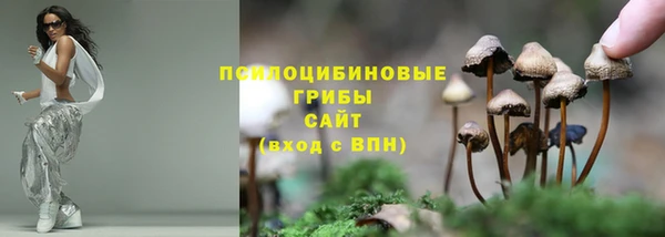 мет Абинск