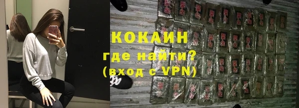 шишки Абаза