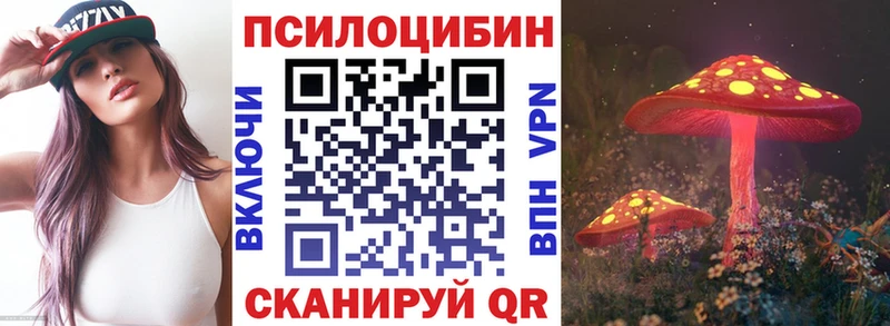 Псилоцибиновые грибы Magic Shrooms OMG как войти Екатеринбург